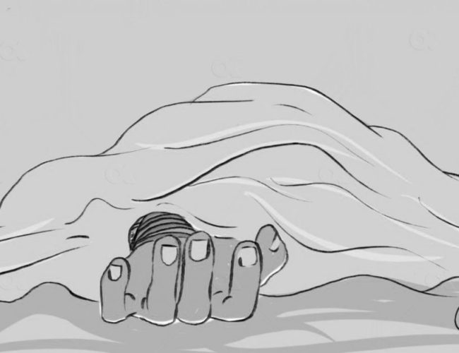 सर्पले डसेर महिलाको मृत्यु