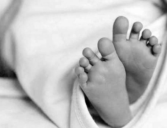 सुतेकै ठाउँमा सर्पले डसेर दाजुभाइको मृत्यु