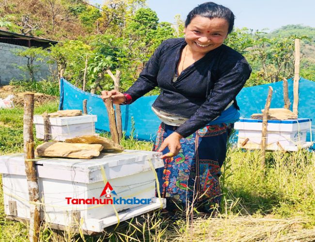 चुनाव हारेपछि सफलतातर्फ लम्किएकी ममिता