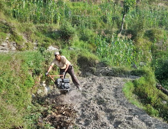 हलो छोडेर ट्याक्टर जोत्दै हिमाली जिल्लाका किसान (भिडियो सहित)
