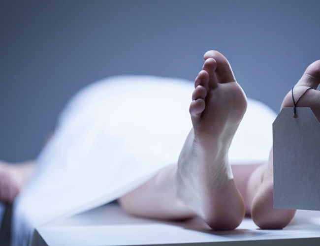 धारिलो हतियार प्रयोग गरी दम्पतीको हत्या