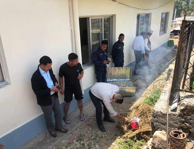 गुल्मीमा गाँजा र मर्चा नष्ट