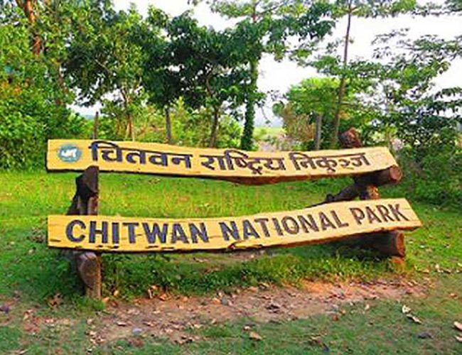 डढेलो नियन्त्रणका लागि तयारी हुन राष्ट्रिय निकुञ्जको आग्रह