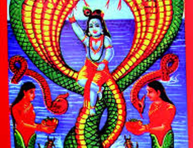 देशभर आज नागपञ्चमी पर्व श्रद्धापूर्वक मनाइँदै