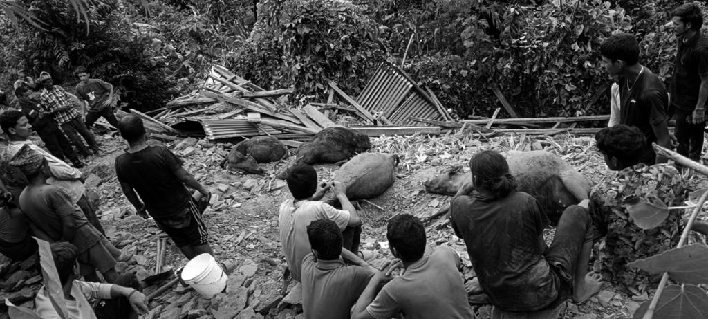 niluwa Online Khabar