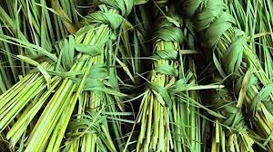 आज कुशे औँशी : घर–घरमा पवित्र कुश भित्र्याइँदै, बाबुको मुख हेर्ने चलन