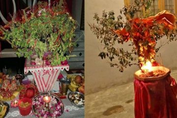 विष्णु जाग्ने दिन हरिबोधिनी एकादशी, तुलसी विवाहका साथ भक्तिभावले मनाइँदै