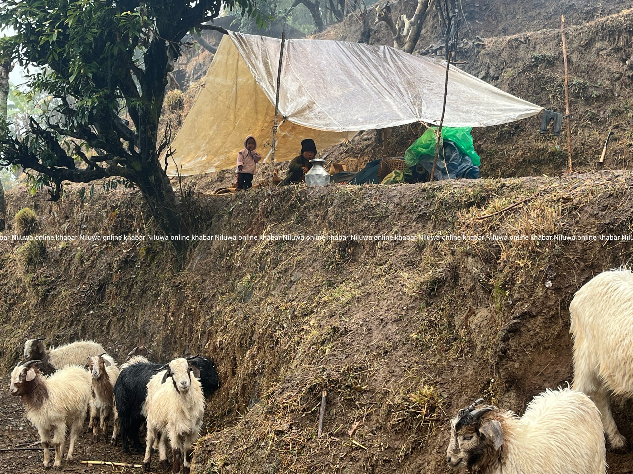 गृहपृष्ठ