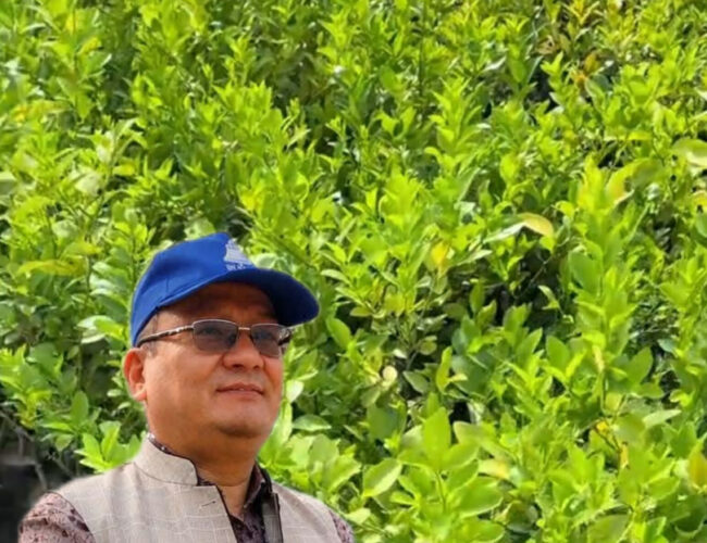 पाण्डबखानीलाई आत्मनिर्भर बनाउने अभियान सुरु: १,००० सुन्तलाका बिरुवा निःशुल्क वितरण घोषणा